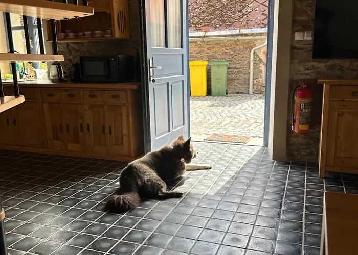 Ferienhaus Albrechtice šumava *