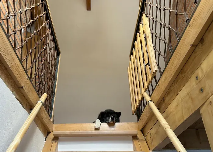 Albrechtice šumava Ferienhaus Sušice